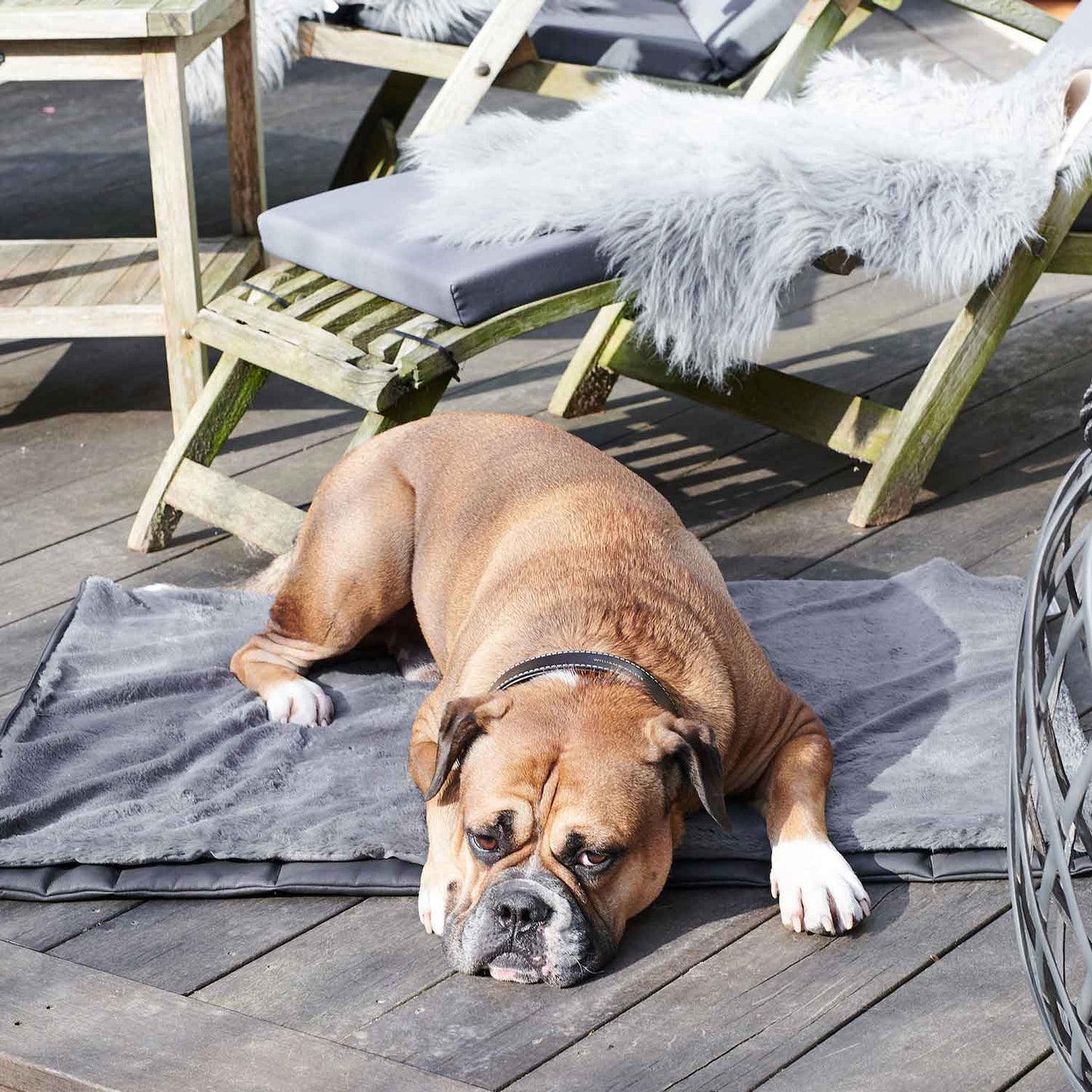 Travel Superior hondenmat