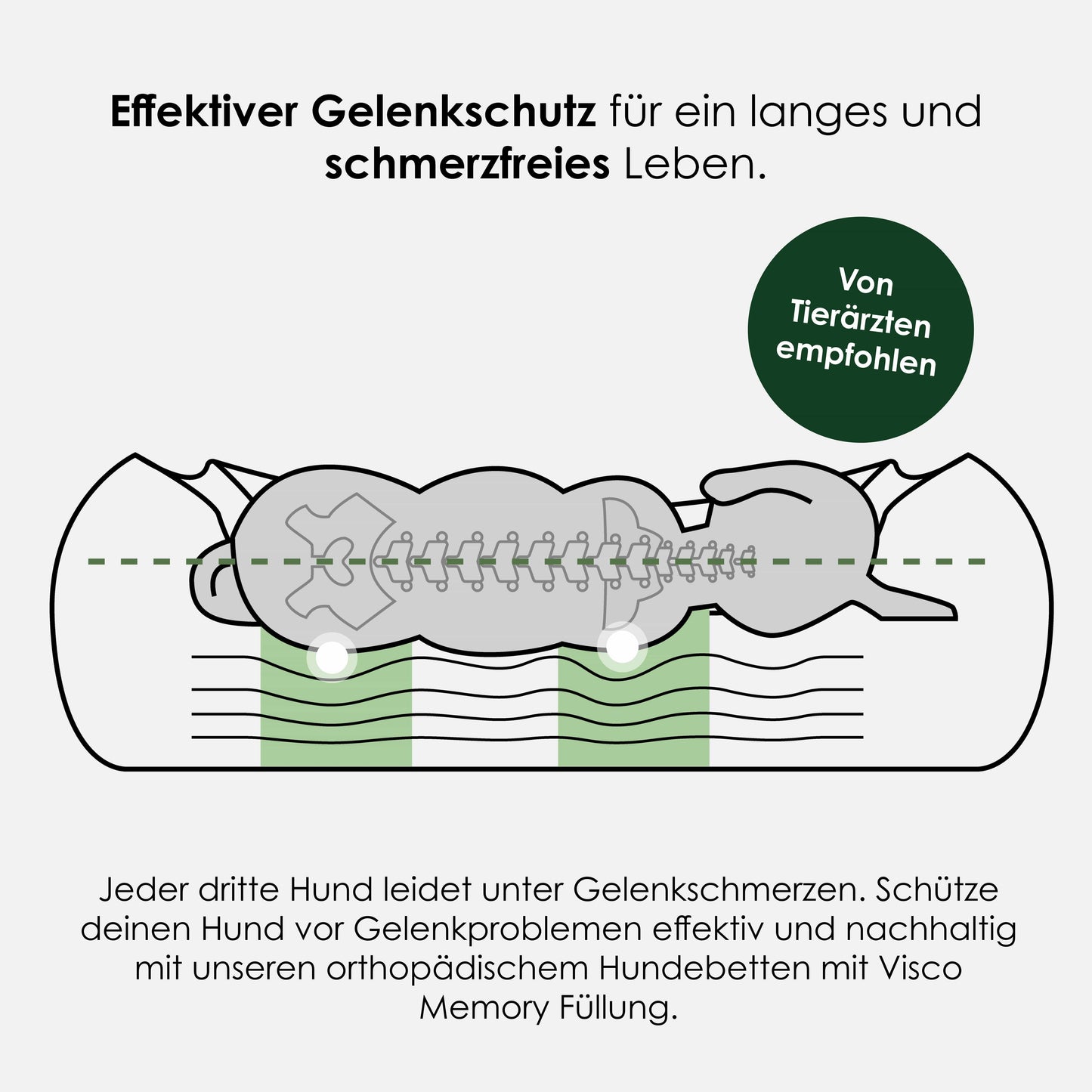 Gewoon orthopedisch hondenbed