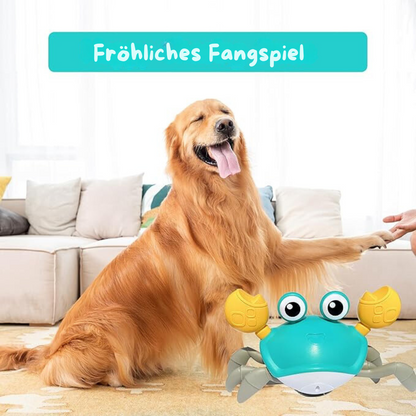 Dansende Krab - Interactief Hondenspeelgoed