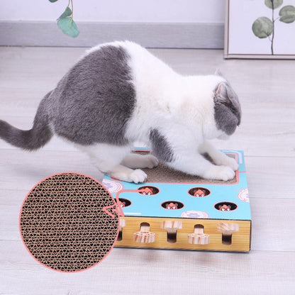 3-in-1 Speelbox voor Katten
